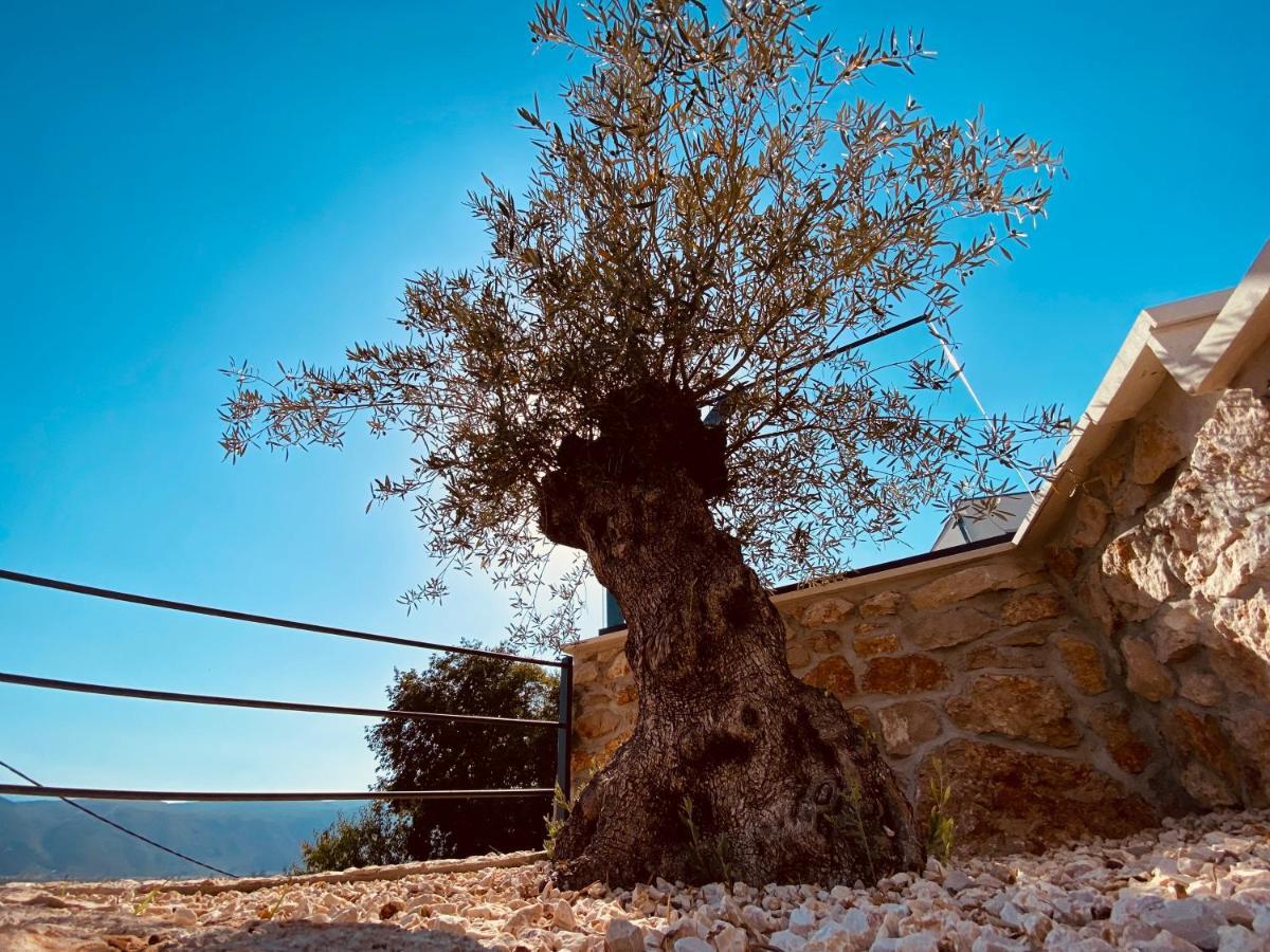 Villa Magic Look Donji Proložac Dış mekan fotoğraf